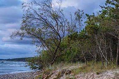 AC米兰客场战胜乌迪内斯，继续保持不败，ac米兰vs乌迪内斯预测