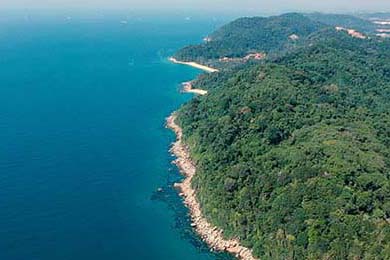 76人恩比德连续多场“30+”，勇攀得分巅峰！，76人恩比德数据